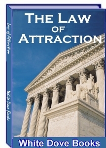 The Law of Attraction - Will Edwards